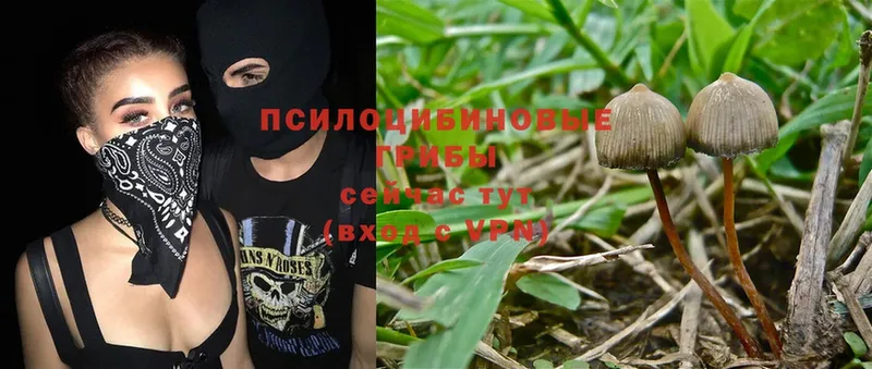 Магазин наркотиков Крым Бошки Шишки  Cocaine  Alpha PVP  Гашиш 