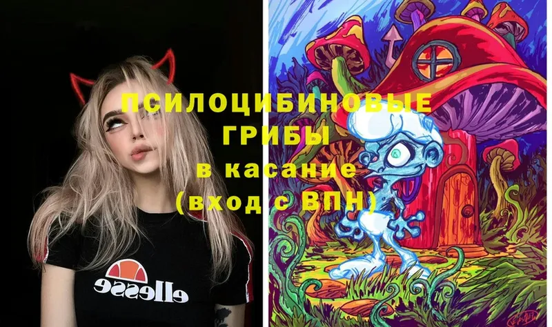 Псилоцибиновые грибы MAGIC MUSHROOMS  купить   Крым 